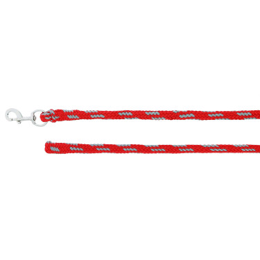 Longe d'attache Norton 2,5 m Rouge / gris