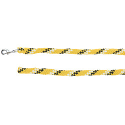 Longe Equithème Tyrex Blanc / noir / jaune