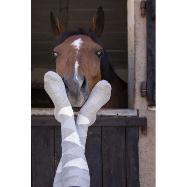 Chaussettes Equithème Girly Gris / ciel