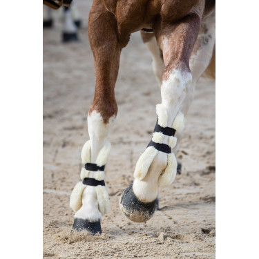 Guêtres Norton XTR à boutons mouton synthétique Bleu marine