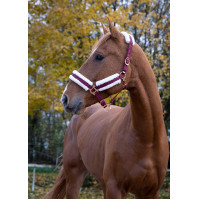 Licol Norton Confort Bordeaux