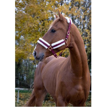 Licol Norton Confort Bordeaux