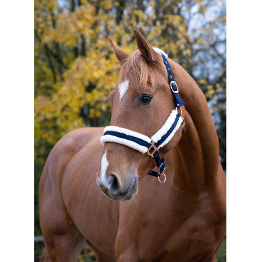 Licol Norton Confort Bleu marine Licol Norton Confort Bleu marine