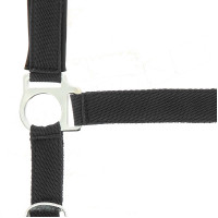 Licol Norton nylon doublé néoprène Rouge