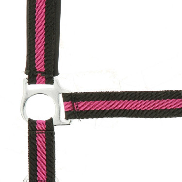 Licol Norton nylon doublé néoprène Noir / framboise
