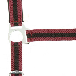 Licol Norton nylon doublé néoprène Bordeaux / noir