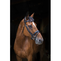 Bridon Eric Thomas Pro Wave Noir