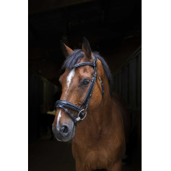 Bridon Eric Thomas Pro Design Noir