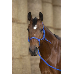 Licol éthologique Norton + longe Eco Bleu / blanc / noir