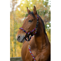 Licol + longe Equitheme Tressé Fuchsia / bleu ciel / marine Rose