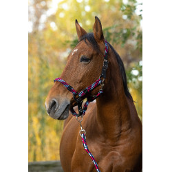 Licol + longe Equitheme Tressé Fuchsia / bleu ciel / marine Rose