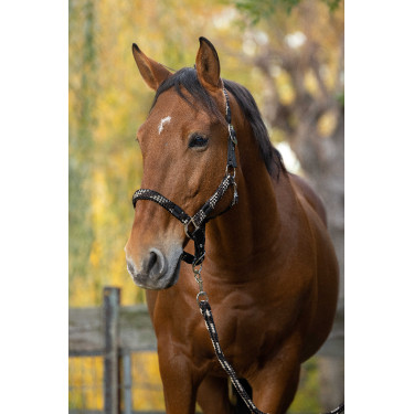 Licol + longe Equitheme Tressé Beige / chocolat / noir