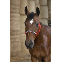 Licol éthologique Norton Pearl Rouge