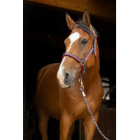 Licol + longe Norton Brillant Rouge / marine / argent