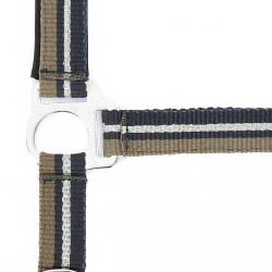 Licol + longe Norton Brillant Taupe / marine / argent Marron