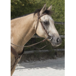 Bridon Westride by Franck Perret Colorado Chocolat Marron