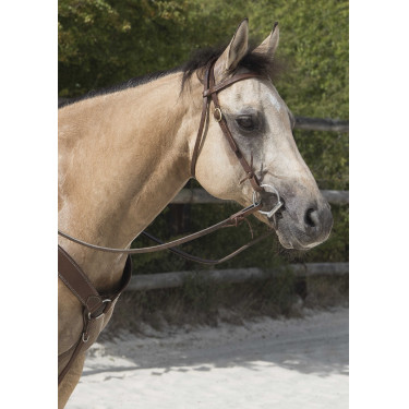 Bridon Westride by Franck Perret Colorado Chocolat Marron