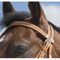 Bridon Westride by Franck Perret Aurora Noisette Marron