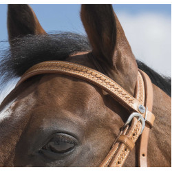 Bridon Westride by Franck Perret Aurora Noisette Marron