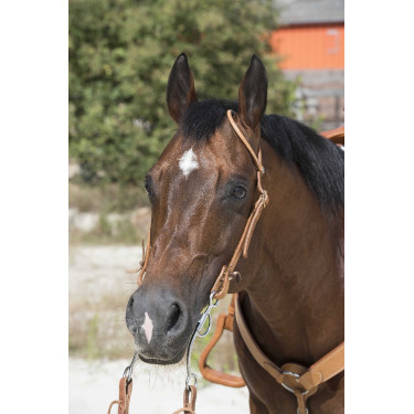 Bridon Westride by Franck Perret 1 oreille Noisette Marron Bridon Westride by Franck Perret 1 oreille Noisette Marron