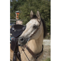 Bridon Westride by Franck Perret 1 oreille Chocolat Marron Bridon Westride by Franck Perret 1 oreille Chocolat Marron