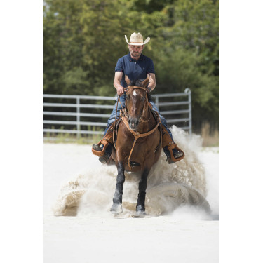 Collier de chasse Westride by Franck Perret Aurora Noisette Marron