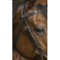 Side-pull Norton Pro Confort Noir