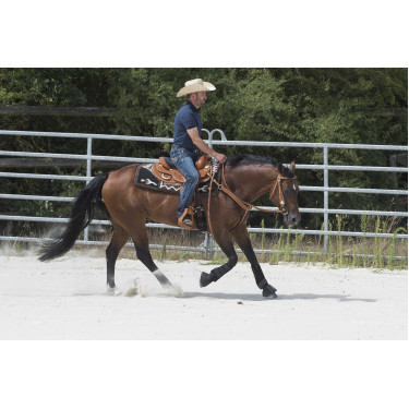 Selle Westride by Franck Perret Aurora