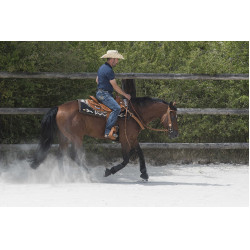 Selle Westride by Franck Perret Aurora