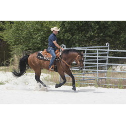 Selle Westride by Franck Perret Aurora