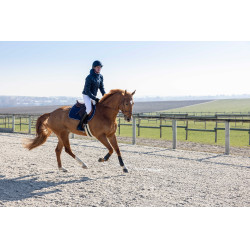 Veste matelassée Pro Series Diagonal Bleu marine