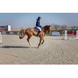 Veste matelassée Pro Series Diagonal Bleu marine