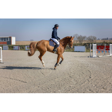 Veste matelassée Pro Series Diagonal Bleu marine