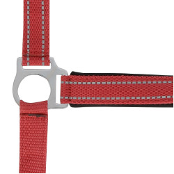 Licol Norton Reflective Rouge