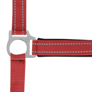 Licol Norton Reflective Rouge