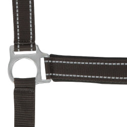 Licol Norton Reflective Chocolat Marron