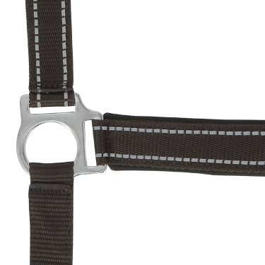 Licol Norton Reflective Chocolat Marron