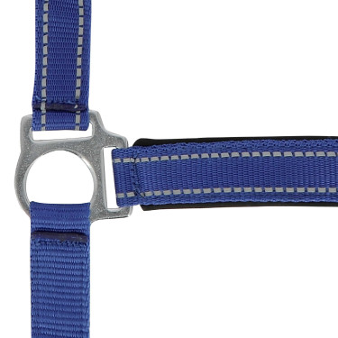 Licol Norton Reflective Bleu