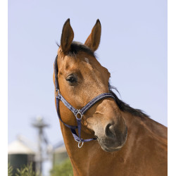 Licol Norton Reflective Bleu marine