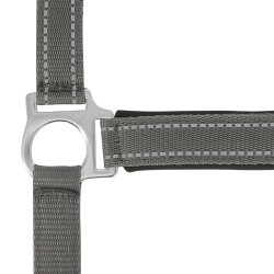 Licol Norton Reflective Gris