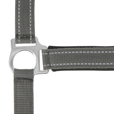 Licol Norton Reflective Gris