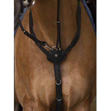 Collier de chasse Norton Pro Confort Noir