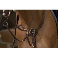 Collier de chasse Norton Pro Confort Noir