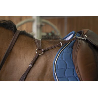 Collier de chasse Norton Pro Confort Noir