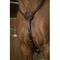 Collier de chasse Norton Pro Confort Noir
