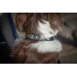 Collier pour chien Pénélope Pearl Noir / blanc