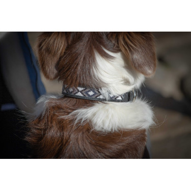 Collier pour chien Pénélope Pearl Noir / blanc