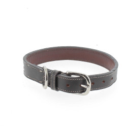 Collier pour chien Pénélope Pearl Havane / rose Marron