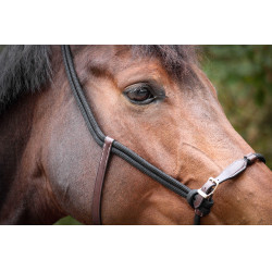 Licol Pénélope Éthologique Havane / noir Marron Licol Pénélope Éthologique Havane / noir Marron