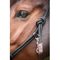 Licol Pénélope Éthologique Havane Marron